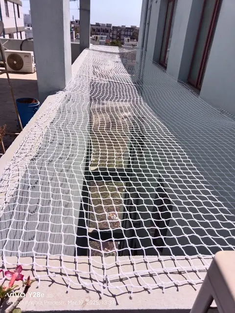 An open area net laid flat over a terrace opening to keep birds out